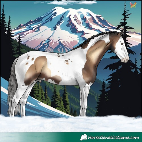 Horse Color:Liver Red Onyx Splash Tobiano 