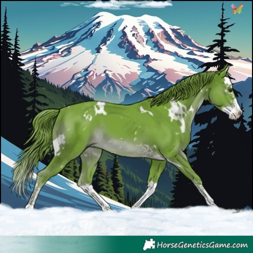 Horse Color:Watercolor White Spotted Liver Chestnut Splash 