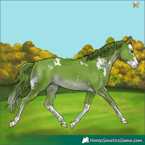 Horse Color:Watercolor White Spotted Liver Chestnut Splash 