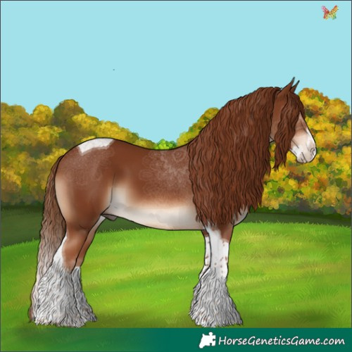 Horse Color:Chestnut Splash Tobiano 