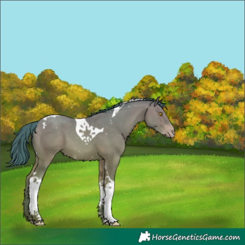 Horse Color:Watercolor Amber Champagne Tobiano 