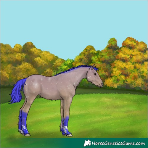 Horse Color:Watercolor Bay 
