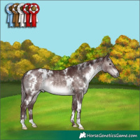 Horse Color:Platinum White Spotted Chocolate Brown Dun