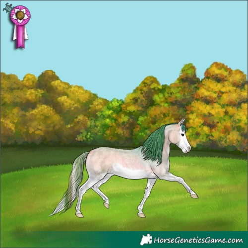 Horse Color:Watercolor Buckskin Roan Onyx Splash 