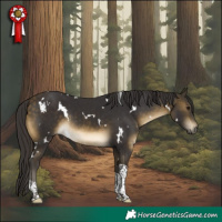 Horse Color:White Spotted Buckskin Tobiano Rabicano