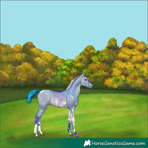 Horse Color:Watercolor Buckskin Dun Sabino Tobiano Rabicano 