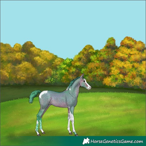 Horse Color:Watercolor Buckskin Dun Splash Tobiano Rabicano 