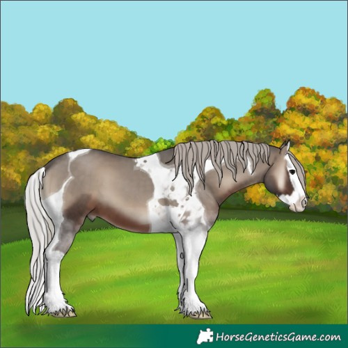 Horse Color:Silver Blue Onyx Splash Tobiano 