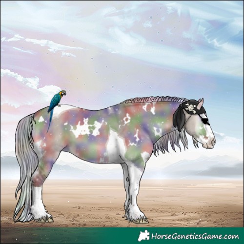 Horse Color:Nacre White Spotted Silver Grullo Onyx Splash Tobiano 