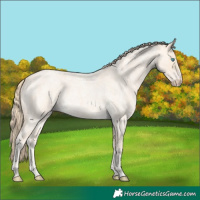Horse Color:Perlino Roan Rabicano