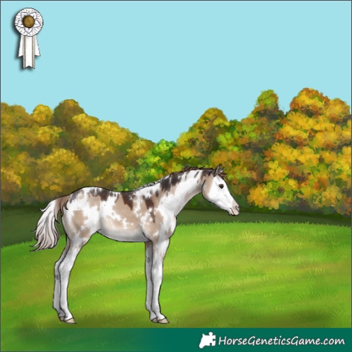 Horse Color:White Spotted Liver Red Dun Splash 