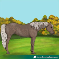 Horse Color:Silver Black 