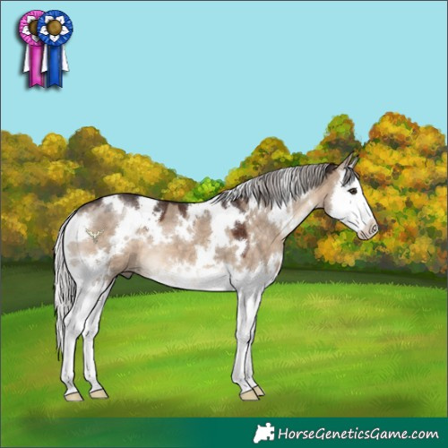 Horse Color:White Spotted Silver Brown Dun Splash 