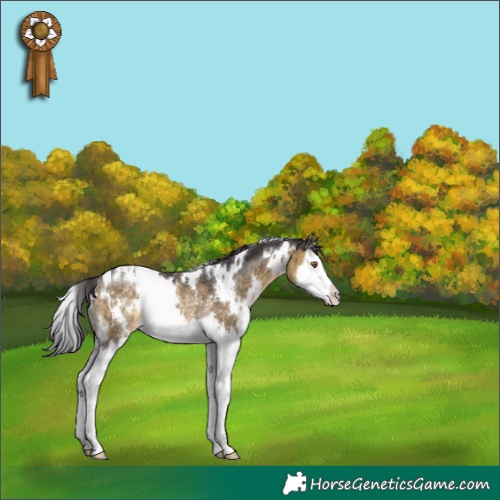 Horse Color:White Spotted Buckskin Dun Splash Rabicano Brindle 