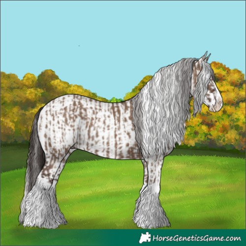 Horse Color:Liver Red Dun Splash and Liver Red Dun Splash