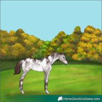 Horse Color:Platinum White Spotted Chocolate Brown Dun 