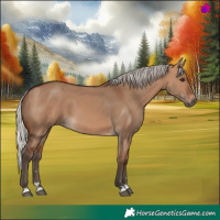 Horse Color:Silver Brown Dun