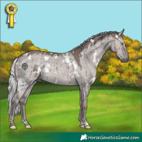 Horse Color:Platinum White Spotted Silver Grullo Rabicano Brindle 