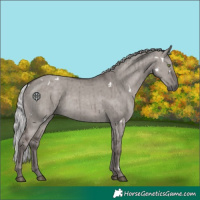 Horse Color:Platinum White Spotted Silver Grullo Rabicano Brindle 