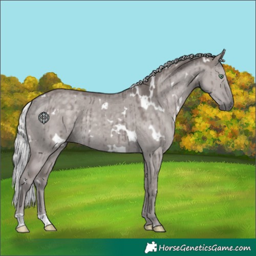Horse Color:Platinum White Spotted Silver Smoky Grullo Rabicano Brindle 