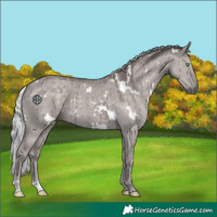 Horse Color:Platinum White Spotted Silver Smoky Grullo Rabicano Brindle 