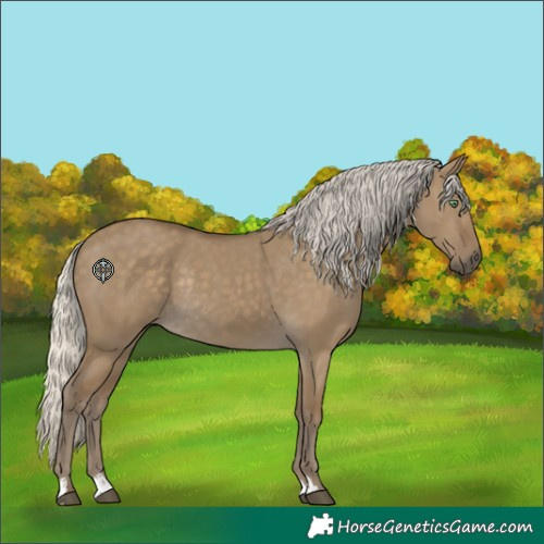 Horse Color:Silver Smoky Grullo Rabicano 