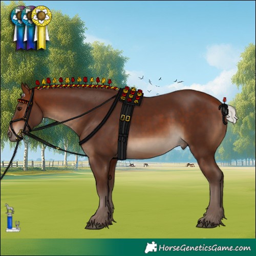 Horse Color:Silver Brown 