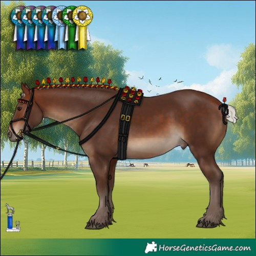 Horse Color:Silver Brown 