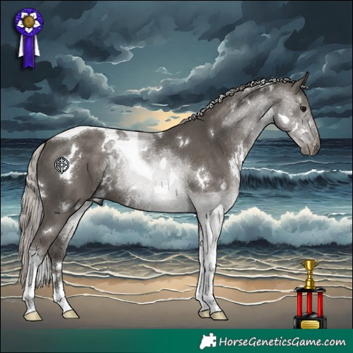 Horse Color:White Spotted Silver Black Tobiano 