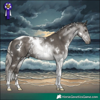 Horse Color:White Spotted Silver Black Tobiano