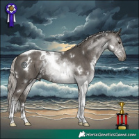 Horse Color:White Spotted Silver Black Tobiano