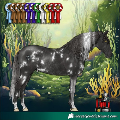 Horse Color:White Spotted Liver Chestnut Rabicano 