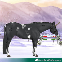 Horse Color:Black Tobiano 