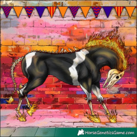 Horse Color:Black Tobiano