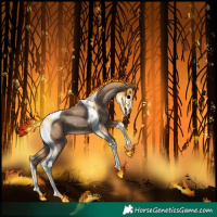 Horse Color:Classic Champagne Tobiano