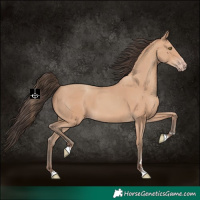 Horse Color:Amber Champagne 
