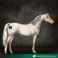 Horse Color:Silver Blue Roan Pearl Tobiano Frame 