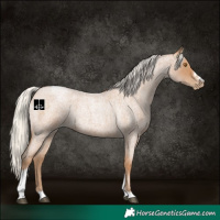 Horse Color:Silver Blue Roan Pearl Tobiano Frame