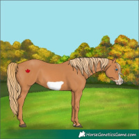 Horse Color:Chestnut Frame 