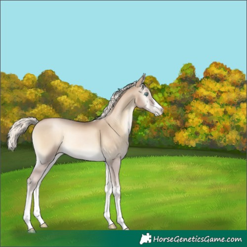 Horse Color:Chocolate Palomino Pearl Onyx Mushroom 