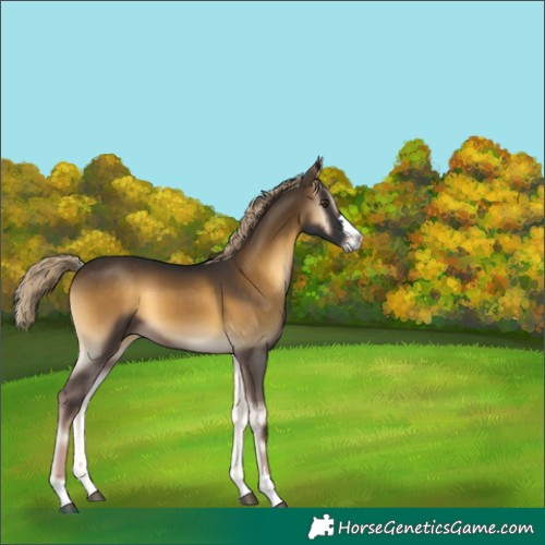 Horse Color:Chocolate Palomino Onyx Mushroom 