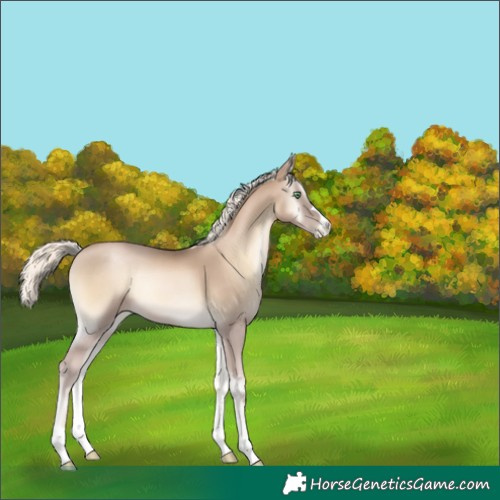 Horse Color:Chocolate Palomino Pearl Onyx Rabicano 