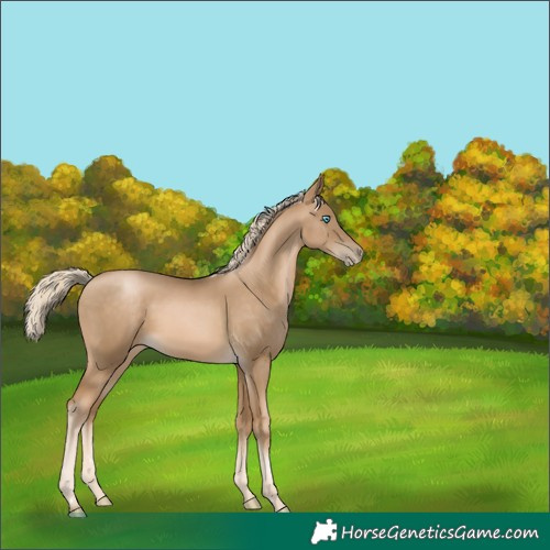 Horse Color:Chocolate Palomino Pearl Mushroom 