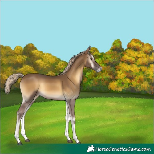 Horse Color:Chocolate Palomino Onyx Mushroom 