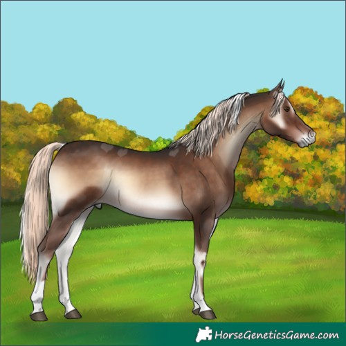 Horse Color:Liver Red Onyx Mushroom Tobiano 