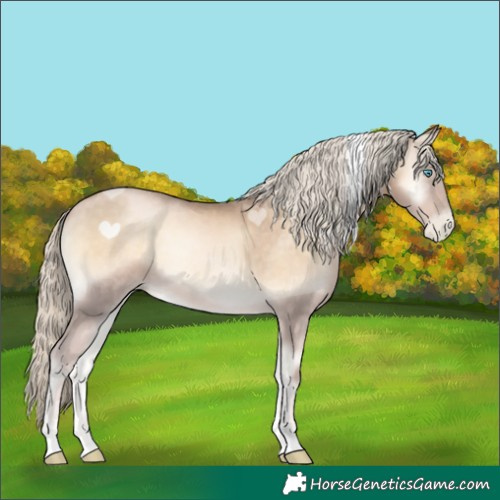 Horse Color:Chocolate Palomino Pearl Onyx Mushroom Tobiano 