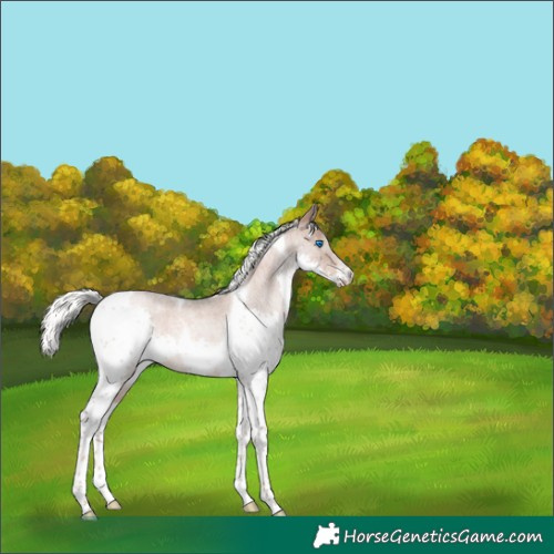 Horse Color:Liver Red Roan Pearl Mushroom Splash Tobiano 