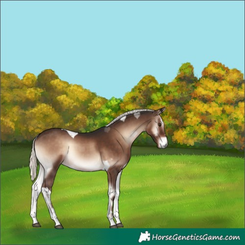 Horse Color:Liver Red Onyx Mushroom Tobiano 