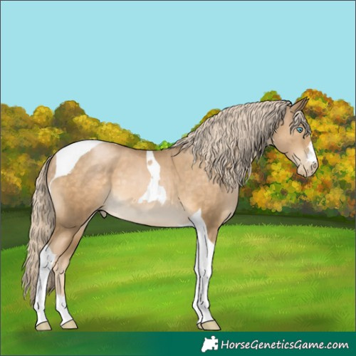 Horse Color:Chocolate Palomino Pearl Mushroom Tobiano 