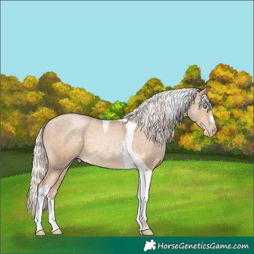 Horse Color:Chocolate Palomino Pearl Mushroom Tobiano 